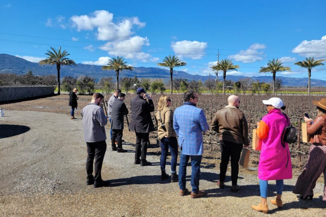 Large group experiences Large group at a vineyard